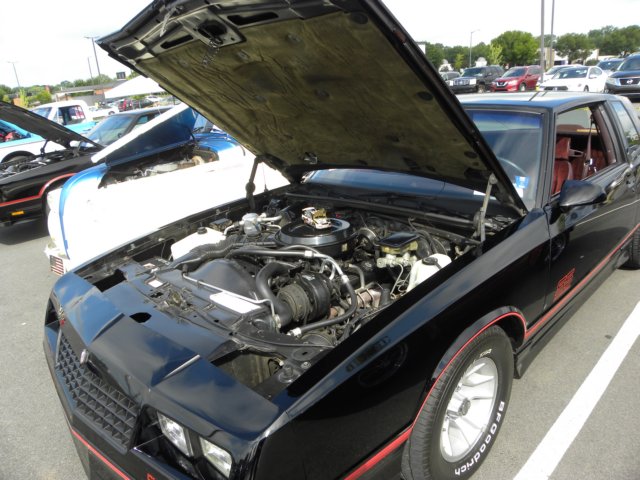 dscn4795.jpg